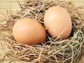 Closeup brown chicken eggs in a straw nest . Fresh organic eggs Royalty Free Stock Photo