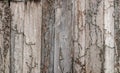 Closeup of brown dark rotten wood texture for background Royalty Free Stock Photo