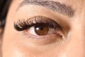 a close up of a brown eye with long eyelashes and no makeup Royalty Free Stock Photo