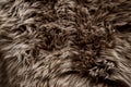 Closeup of Brown Fur Texture. Smooth Fluffy and Softness Royalty Free Stock Photo