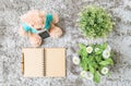 Closeup brown note book diary with blank brown paper space at page with brown pen with artificial plant and bear doll on gray carp