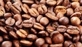 Closeup of brown robusta coffee beans Royalty Free Stock Photo