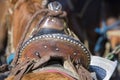 Closeup of brown rustic saddle on horse near Merida Royalty Free Stock Photo