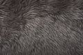 Closeup of Brown Sheepskin Wool.