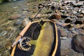 Closeup of brown trout caught in landing net Royalty Free Stock Photo