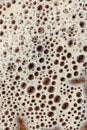 Closeup of brownish fluffy foam, perfect for wallpapers