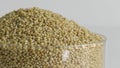 Closeup of browntop millet grains