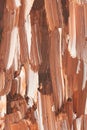 Closeup of brush-strokes of an an oilpainting Royalty Free Stock Photo