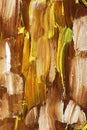 Closeup of brush-strokes of an an oilpainting Royalty Free Stock Photo