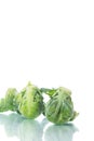 Closeup of brussels sprouts Royalty Free Stock Photo