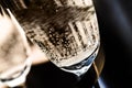 Closeup of Bubbles in a Champagne Glass Royalty Free Stock Photo