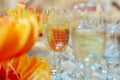 Closeup of Bubbles in a Champagne Glass Royalty Free Stock Photo