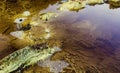 Closeup of bubbles on red acidic and polluted Rio Tinto River due to mining, in Spain Royalty Free Stock Photo