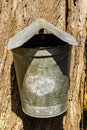 Closeup of a Bucket on a Maple Trees Collecting Sap Royalty Free Stock Photo