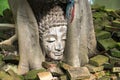 Closeup of Buddha head at bodhi tree in the temple