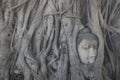 Closeup of the Buddha head embedded in a Banyan tree, Wat Mahathat