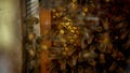 Closeup of a bunch bees swarming on honeycomb in apiary. Working bees Royalty Free Stock Photo