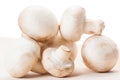 Closeup of bunch of champignon mushrooms