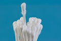 Closeup of a bunch of cotton swabs