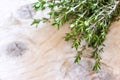 Fresh green thyme herb on old wood background Royalty Free Stock Photo