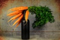 Closeup of a bunch of fresh carrots on a black bottle on the grungy gray background Royalty Free Stock Photo