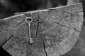 Closeup bunch of keys hanging on the cut of the trunk of an old tree with growth rings and cracks