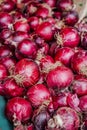 Closeup of bunch of onions Royalty Free Stock Photo