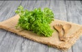 Closeup of a bunch of parsley on a sackcloth on a wooden surface