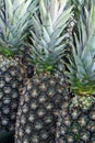 Closeup of bunch of pineapple