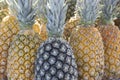 Closeup of bunch of pineapple