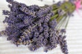 Bunch of purple lavender twigs with flowers. Royalty Free Stock Photo