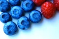 Closeup of a bunch of raspberries and blueberries Royalty Free Stock Photo