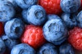 Closeup of a bunch of raspberries and blueberries Royalty Free Stock Photo