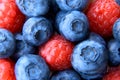 Closeup of a bunch of raspberries and blueberries Royalty Free Stock Photo