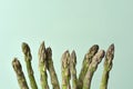 Raw garden asparagus