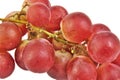 Closeup bunch of red grapes on white background.