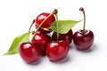 A closeup of a bunch of ripe and glossy cherries with vibrant red hues. The cherries appear fresh, juicy, and mouth