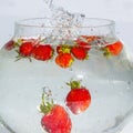 Closeup of Bunch of Strawberries With Water Splashes In Aquarium