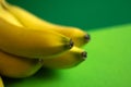 Bunch of fresh ripe bananas on green background
