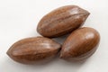 Closeup on a bunch of three pecan nuts still in the shell isolated on white background Royalty Free Stock Photo