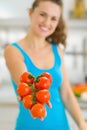 Closeup on bunch of tomato in hand of woman Royalty Free Stock Photo