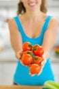 Closeup on bunch of tomato in hand of young woman Royalty Free Stock Photo