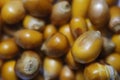 Closeup of a bunch of unpopped corns
