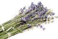 Closeup of a bunch of violet fresh and dried lavender flowers bouquets over white wood background Royalty Free Stock Photo