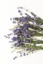 Closeup of a bunch of violet fresh and dried lavender flowers bouquets over white wood background Royalty Free Stock Photo