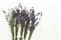 Closeup of a bunch of violet fresh and dried lavender flowers bouquets over white wood background Royalty Free Stock Photo