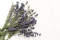 Closeup of a bunch of violet fresh and dried lavender flowers bouquets over white wood background Royalty Free Stock Photo