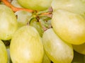 Closeup of bunch of white grapes, fruit, food, nature, agricolture, wine Royalty Free Stock Photo