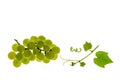 Bunch of white seedless grapes with leaves on white background Royalty Free Stock Photo