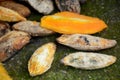 Closeup the bunch yellow brown mango seeds over out of focus green brown background